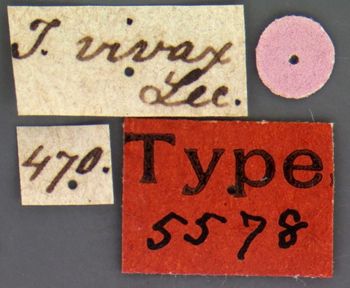 Media type: image;   Entomology 5578 Aspect: labels